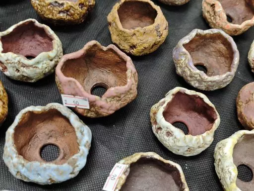 Botanická burza