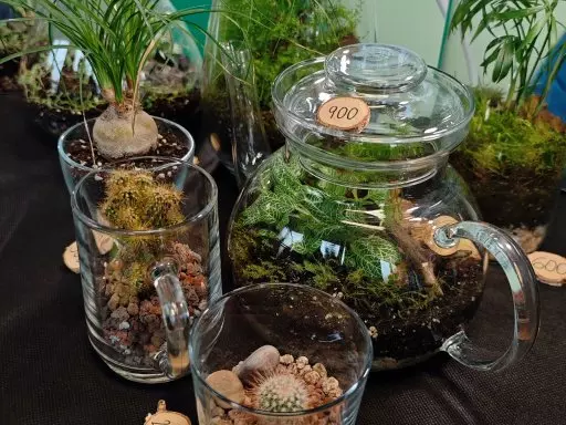 Botanická burza